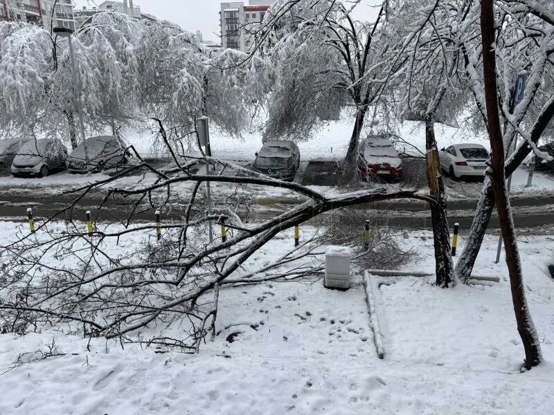 Snijeg nije napravio kaos samo u BiH: Zemlje regije pod vodom, javljaju se i klizišta