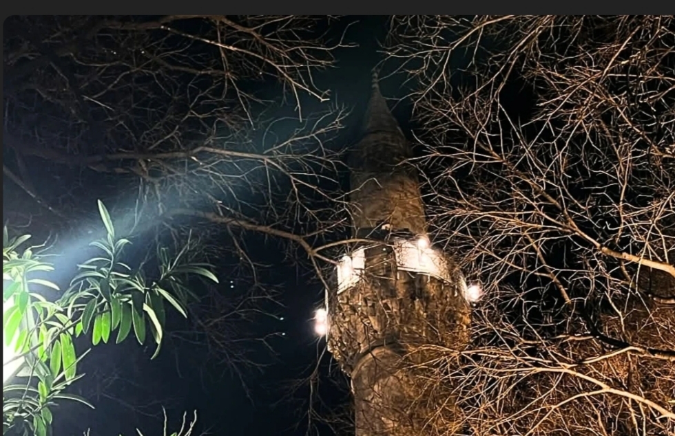 Večeras najsvetija noć za muslimane