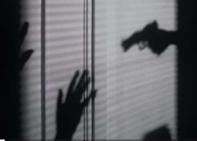 Oružje u kući nije sigurnost nego rizik: upozorenje koje mnogi ignoriraju