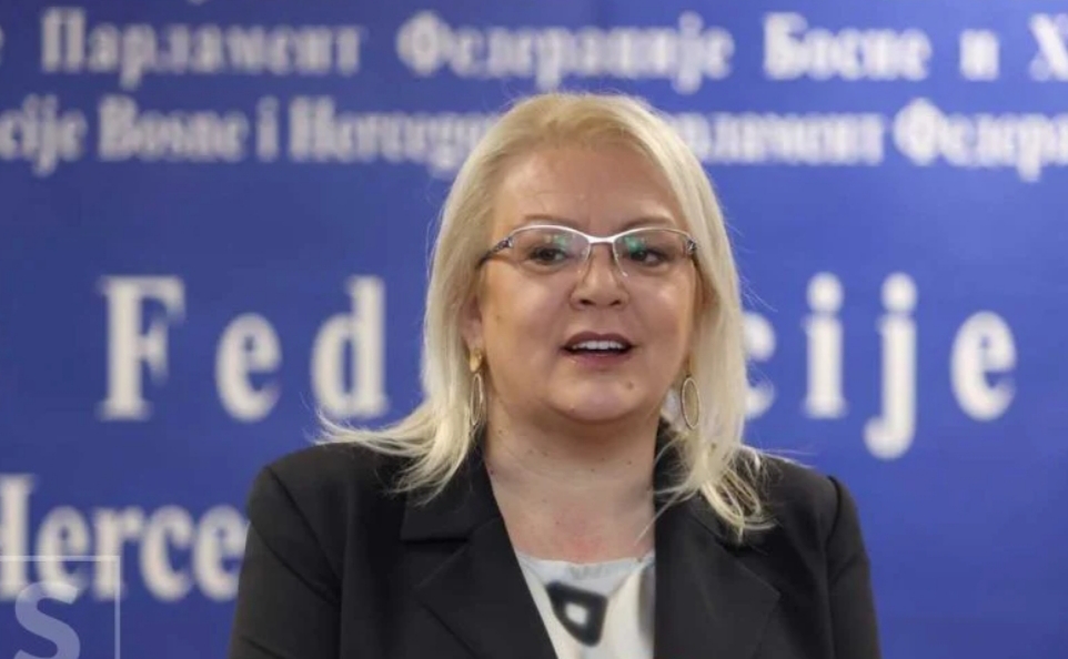 Federacija BiH: Bradara povukla apelaciju o Južnoj interkonekciji