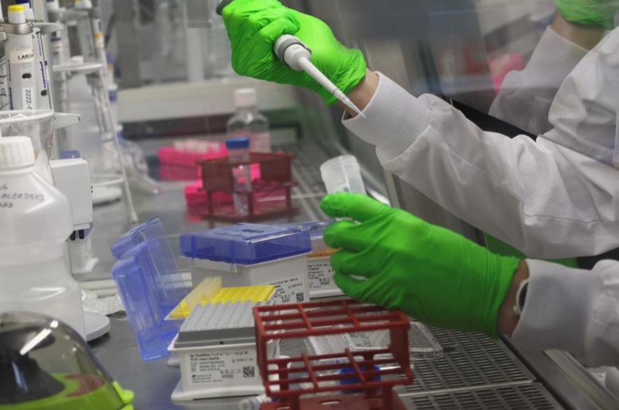 Gljivica otporna na lijekove prijeti širom svijeta