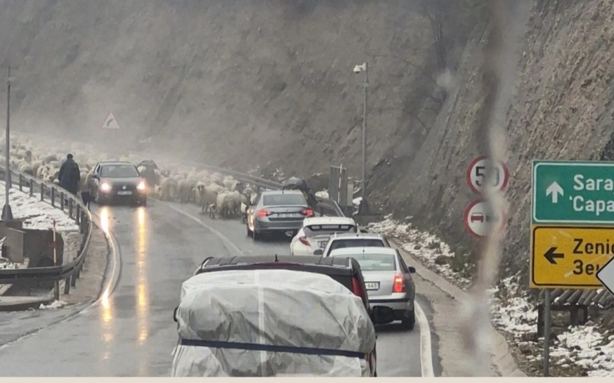 Promet usporen kod Zenice: Ovce izazvale zastoj na magistralnoj cesti