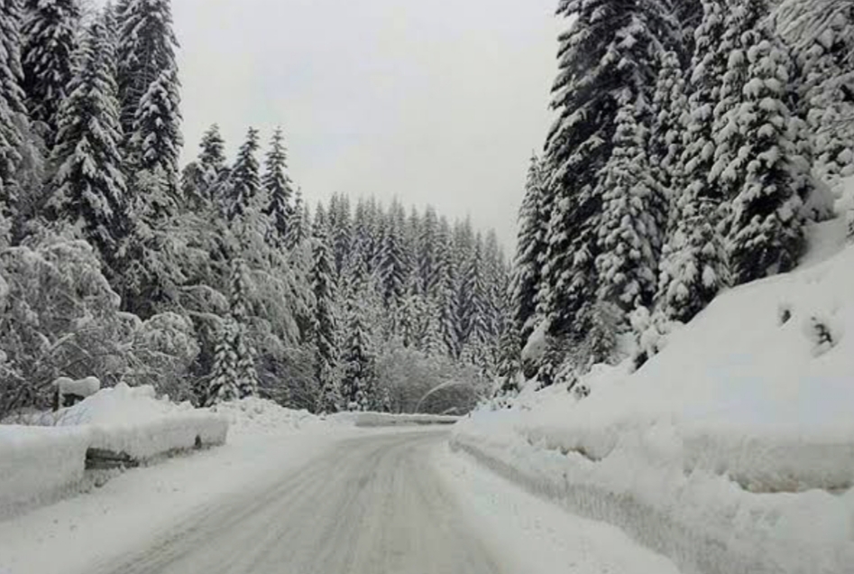 Prognoza do 19. siječnja: Do kada će padati snijeg a kada kreće kiša?