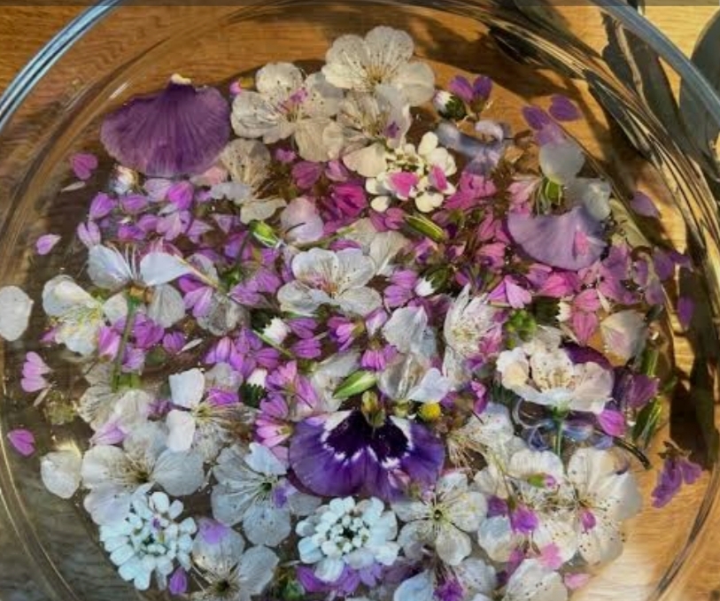 Danas je Cvjetnica: Zašto se umivamo u cvijeću i nosimo maslinove grančice?