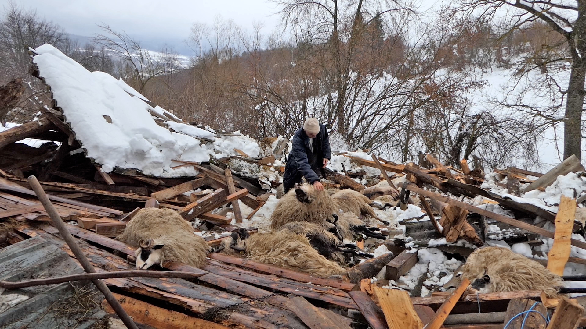 Bugojno: urušio se krov štale, farmer pretrpio velike gubitke