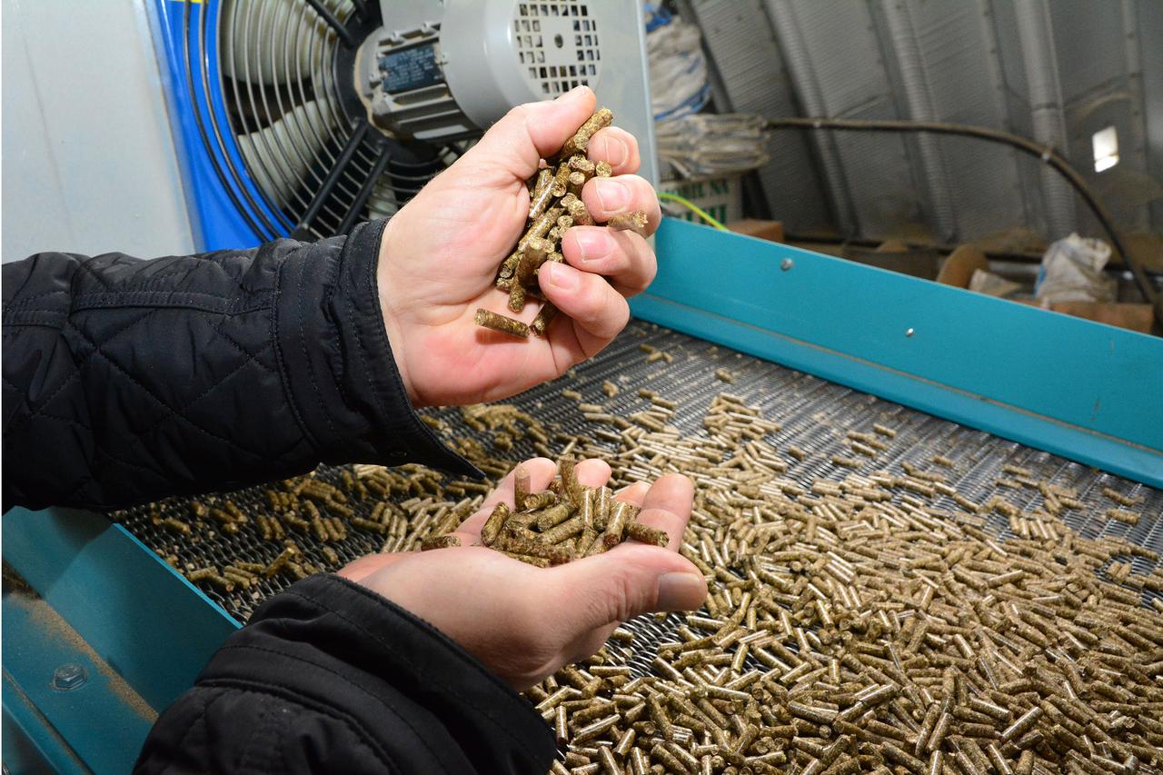 Cijena peleta ponovno nekontrolirano raste